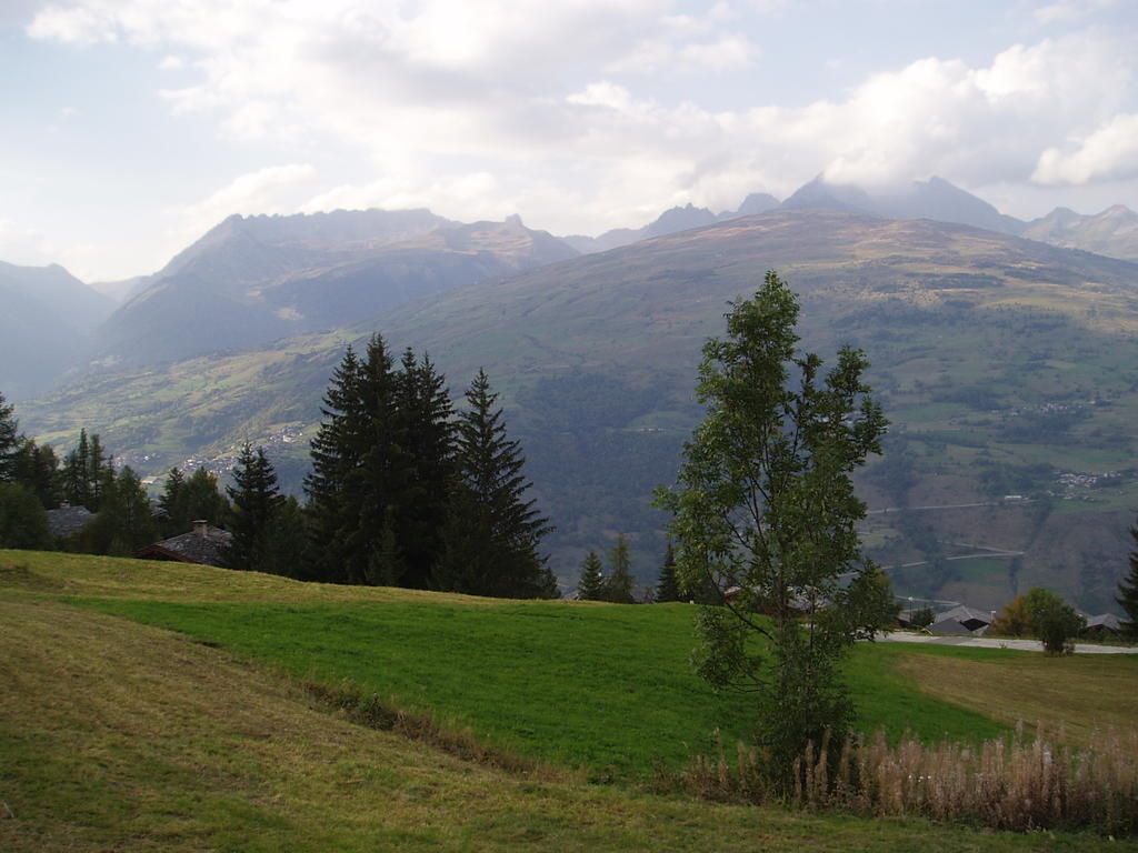 Chalet Les Gentianes La Plagne Rum bild