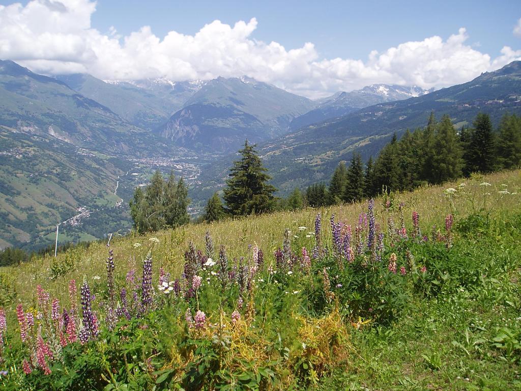 Chalet Les Gentianes La Plagne Exteriör bild